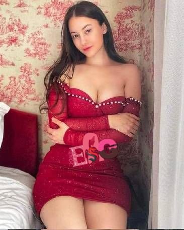 meena classic escort service nashik